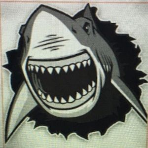 Meet Sean, the owner of SharkBiteSkateBoarding!